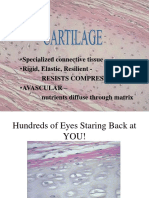 04a Cartilage