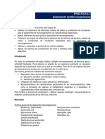 Practica Aislamiento De Microorganismos.pdf