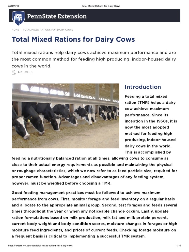 Total Mixed Rations For Dairy Cows PDF Animal Feed Dairy Cattle