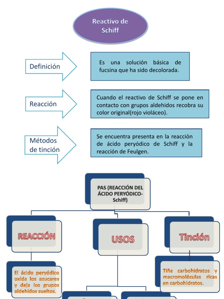 Reacción de Schiff PDF — free download