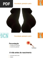 Fecundação e Gestação