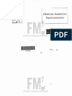 (521-09) Derecho Ambiental Profundizado - Pigretti.pdf