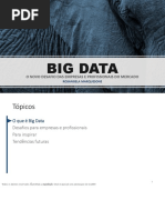 2017.02.07-Palestra Rosangela Bigdata