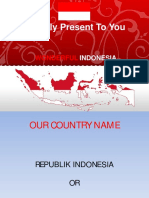 Indonesia Geo