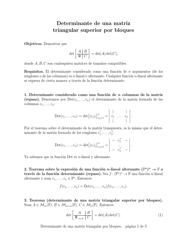 Determinante Matriz Triangular por Bloques | PDF | Determinante ...
