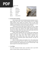 Tempat Wisata Di Pangandaran Terbaru 2019 Paling Indah Murah