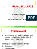 Systema Muscularis - Blok 6