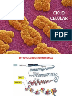 6-Ciclo celular.pdf
