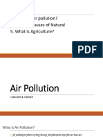 Air Pollution (Report)