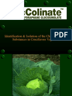 Identification & Isolation of The Chemoprotective Substances in Cruciferous Vegetables