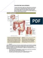 Histologi Appendix Dan Large Intestine