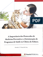 Protocolo Felinos