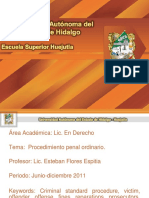 procedimiento_penal_ordinario.pdf