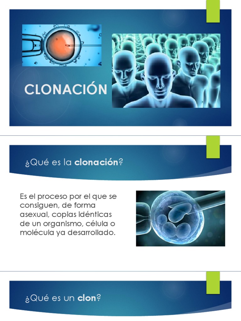 CLONACIÓN.pdf
