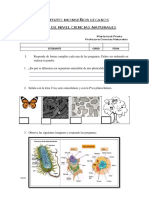Prueba de Nivel Ciencias Naturales7