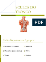 msculosdotronco.pdf