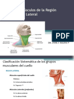 Cuello Musculos Superficiales y Triangulos2 PDF