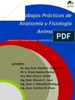 TRABAJO PRACTICO DE ANATOMIA Y FISIOLOGIA ANIMAL.pdf