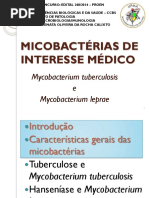 Aula Micobacterias UFMA