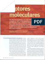 Motor Es Molecular Es