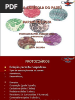 Amebiase e Giardiase (Aula 1)