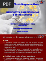 Aula Microbiota, Estreptococos e Estafilococos_2