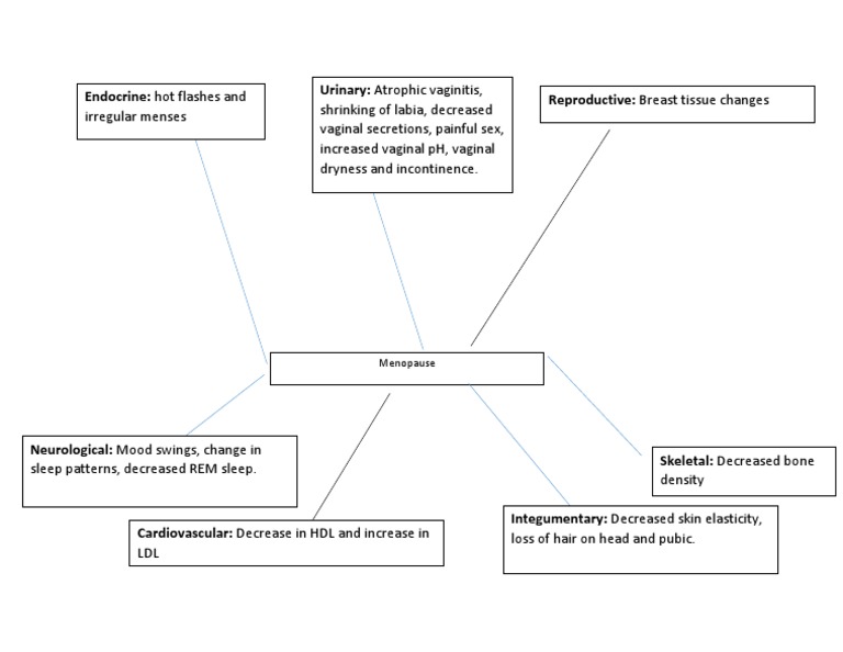 Menopause Concept Map PDF