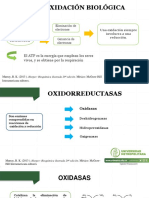 Oxidación biológica enzimas