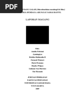 Download laporan magang by Fatonah Winiasri SN37289935 doc pdf