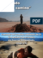 Cansado-del-Camino.pdf