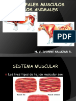 Miologia 2017 - i