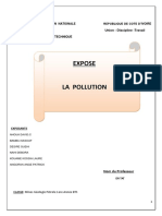 88791267 Expose Sur La Pollution