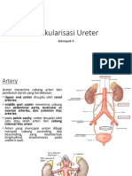 Vaskularisasi Dan Inervasi Ureter PPT Kel 9