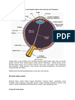 Anatomi Mata atau Bagian.docx