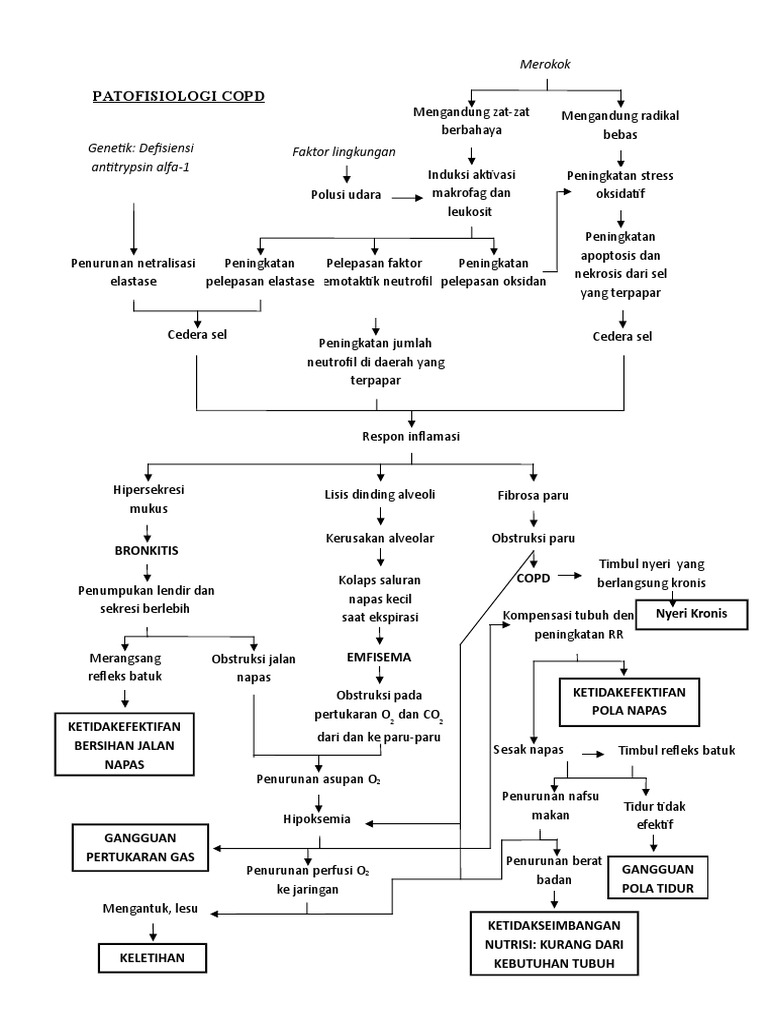 Pathway COPD | PDF
