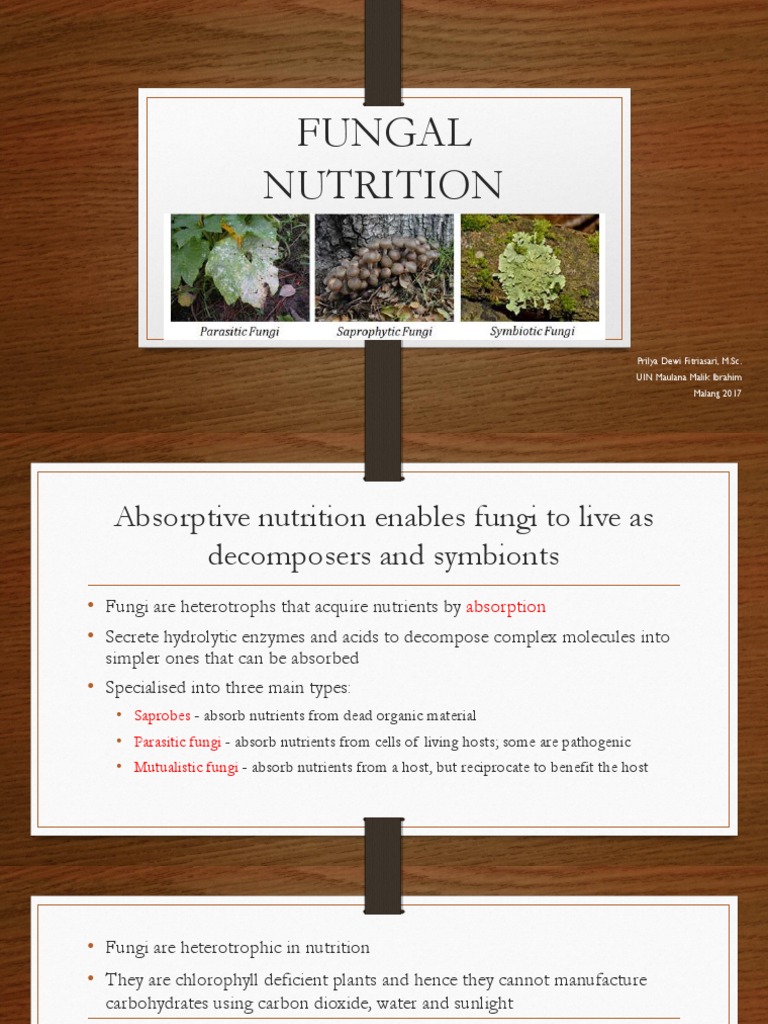 Fungal Nutrition PDF Fungus Parasitism