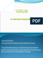 Infeksi Virus 2