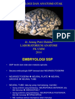 Anatomi Otak