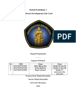 SDLC MODUL