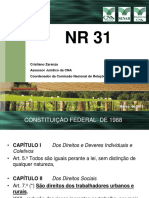 NR 31 COMENTADA.pdf