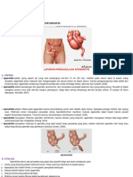 Laporan Pendahuluan Apendisitis