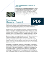 Fitoterapia-Guacatonga-tintura de Guacatonga Ajuda A Cicatrizacao Do Herpes Labial