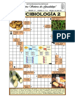 Crucigrama de Bioelementos y Biomoleculas