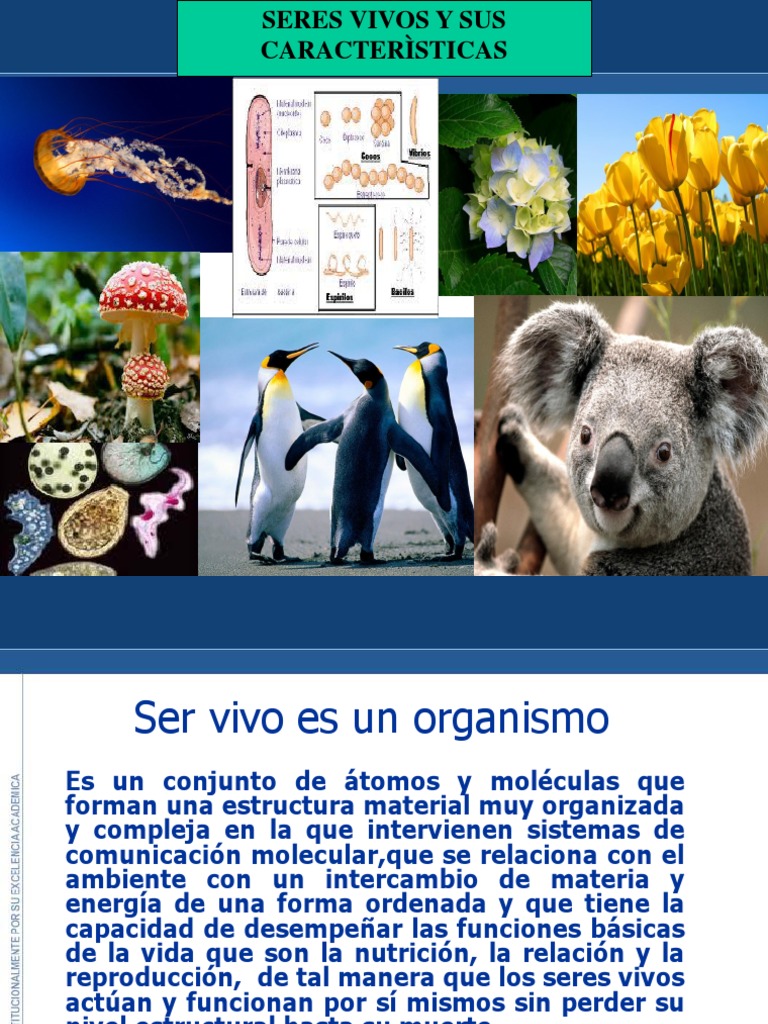 Características de los Seres Vivos | PDF | Organismos | Biología Celular)