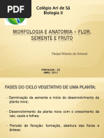 Morfologia e Anatomia Flor Semente