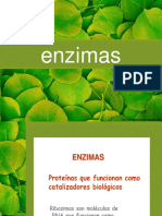 Enzimas2010 101115155645 Phpapp01