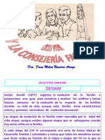 ciclo_vital_y_la_consejer%EDa_familiar.pdf