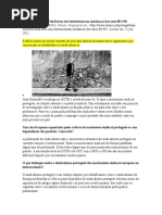 Sindicatos Não Interiorizaram Mudanças Dos Anos 80 e 90