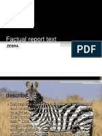 Factual Report Text ZEBRA