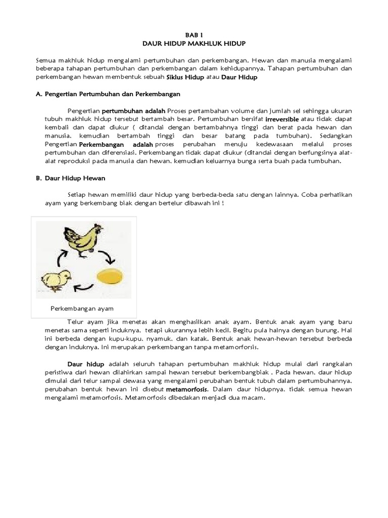 Tahapan Pertumbuhan Dan Perkembangan Hewan Dari Kecil Tahapan Pertumbuhan Dan Perkembangan Hewan Dari Kecil